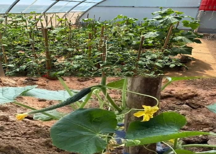 1773735104966083738.jpeg 888.jpeg